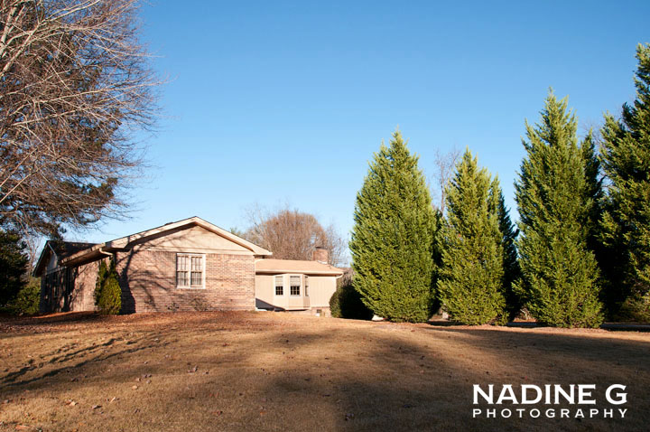 Nadine G Photography