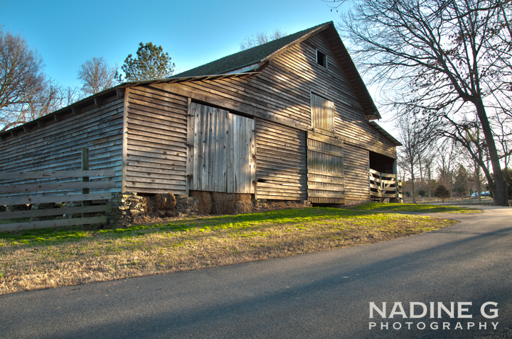 Nadine G Photography