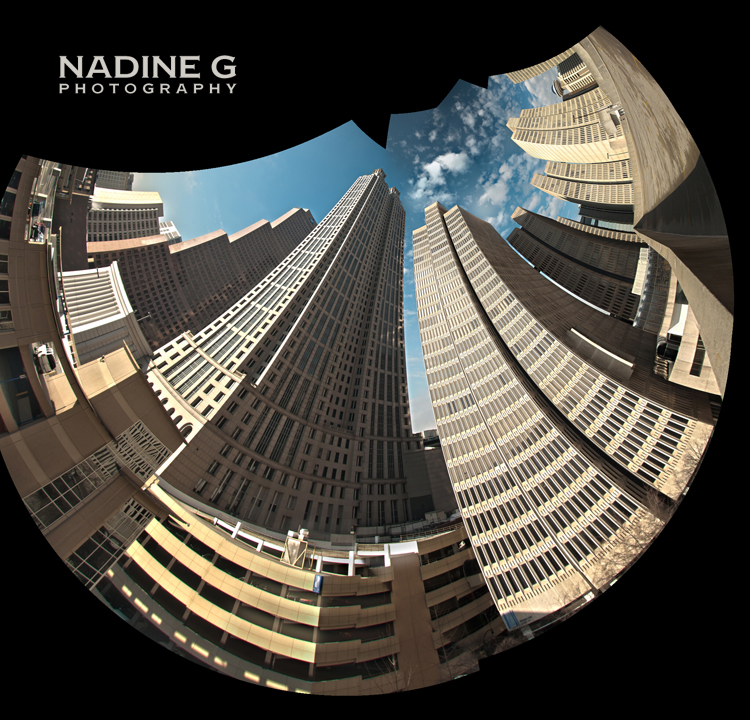 Nadine G Photography